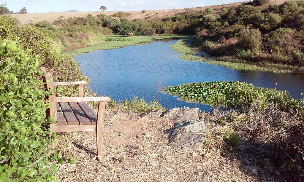 Herdade Do Pessegueiro Porto Covo Exteriör bild