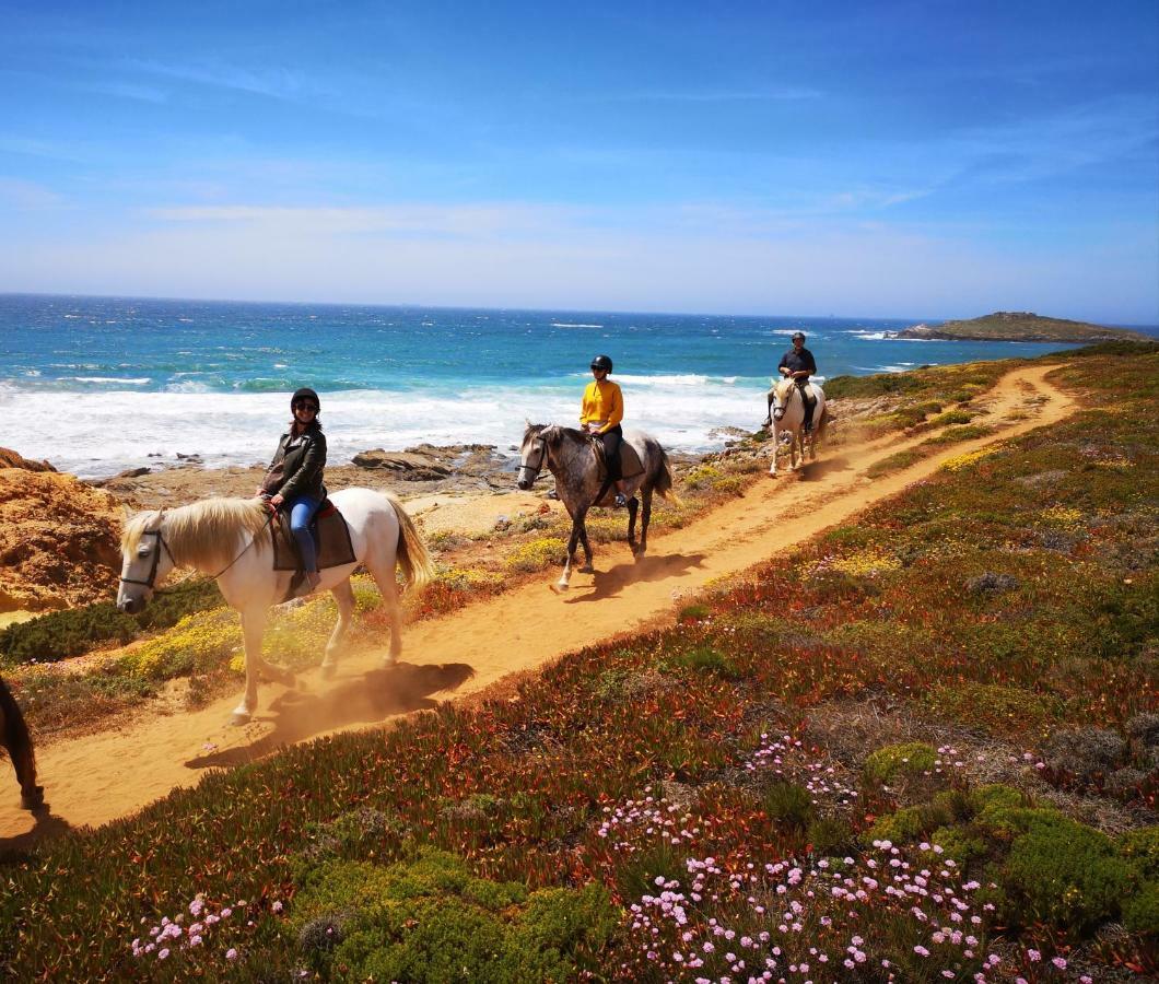 Herdade Do Pessegueiro Porto Covo Exteriör bild